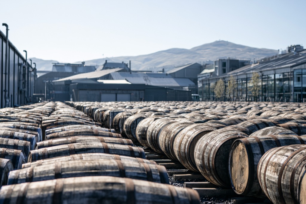 Rows of whisky casks in a distillery yard, with warehouse buildings and Highland hills behind